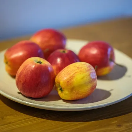 Daire Elsternest - Ihr Feriendomizil Mit Sauna & Ostereierwerkstatt Elsterheide