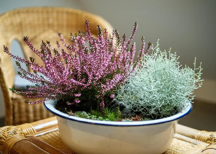 Apartment Elsternest - Mit Sauna&ostereierwerkstatt