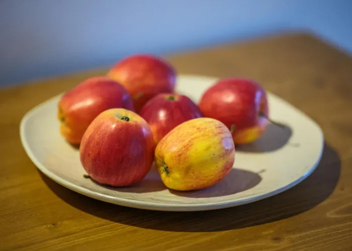 Apartment Elsternest - Mit Sauna&ostereierwerkstatt Elsterheide